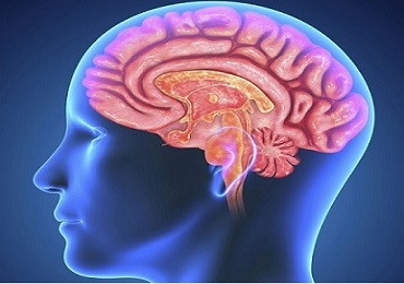 Beyin ve Sinir Cerrahisi